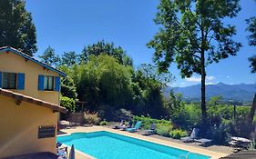 PAS DE LA BACQUERE - Gîte au milieu des bois avec vue sur les Pyrénées